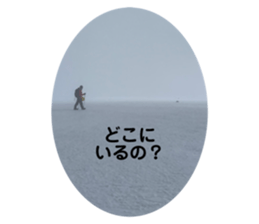 496604014