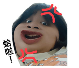 496605971