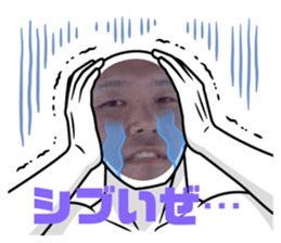496606228