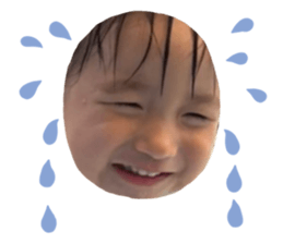 496612651