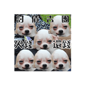 496618482