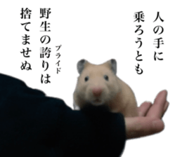 496625543