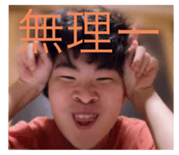496635366