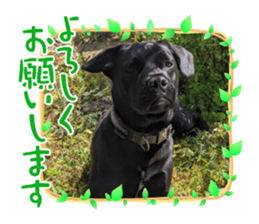 496636283