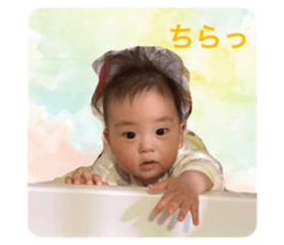 496637424