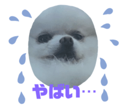 496638686