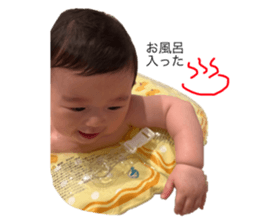 496651256