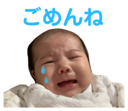 496660820