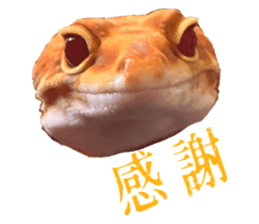 496661677