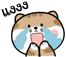496670344