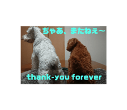496688700