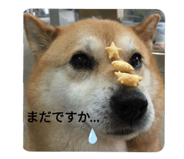 496689046