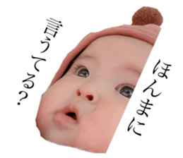496743068