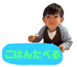 496786645