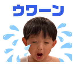 496786663