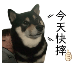 496797301