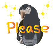 496797365