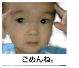 496943817