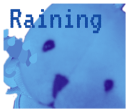 496963813