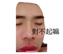 496977167
