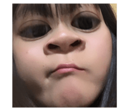 497029229