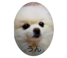 497046912