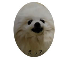 497046927
