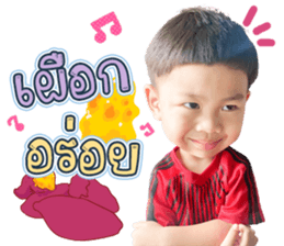 497072504