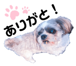 497083348