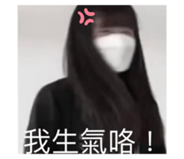 497085550