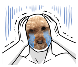 497089089
