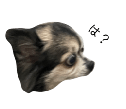497111782