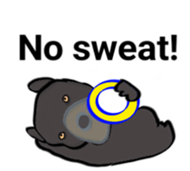 49721588