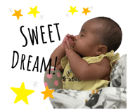 497227256