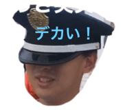 497230431