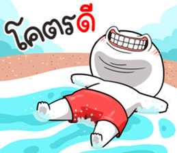 497243615