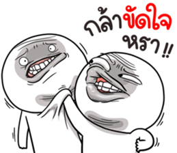 497243631