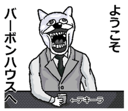 497246064