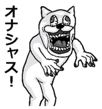 497246078