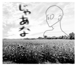 497248236