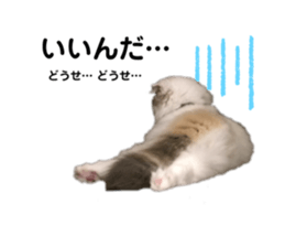 497260158