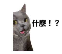 497268063