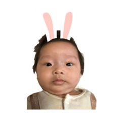 497273285