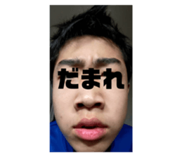 497288815