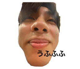 497300810