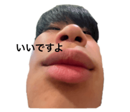 497300812