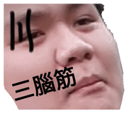 497307742