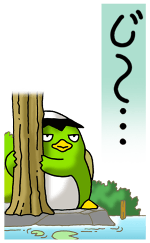 497322697