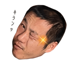 497327548