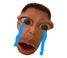 497327550
